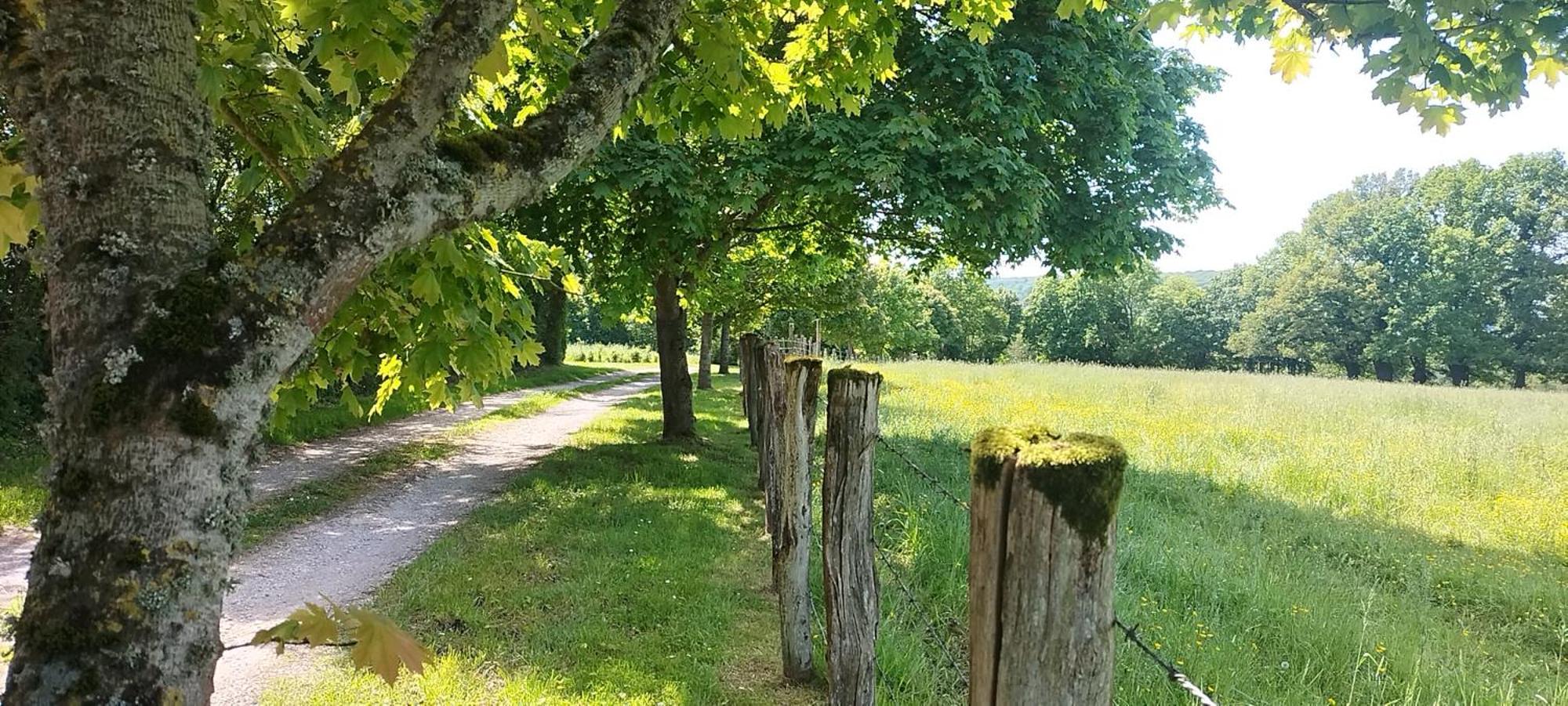 La Roulotte De Jane Vendégház Margon Kültér fotó
